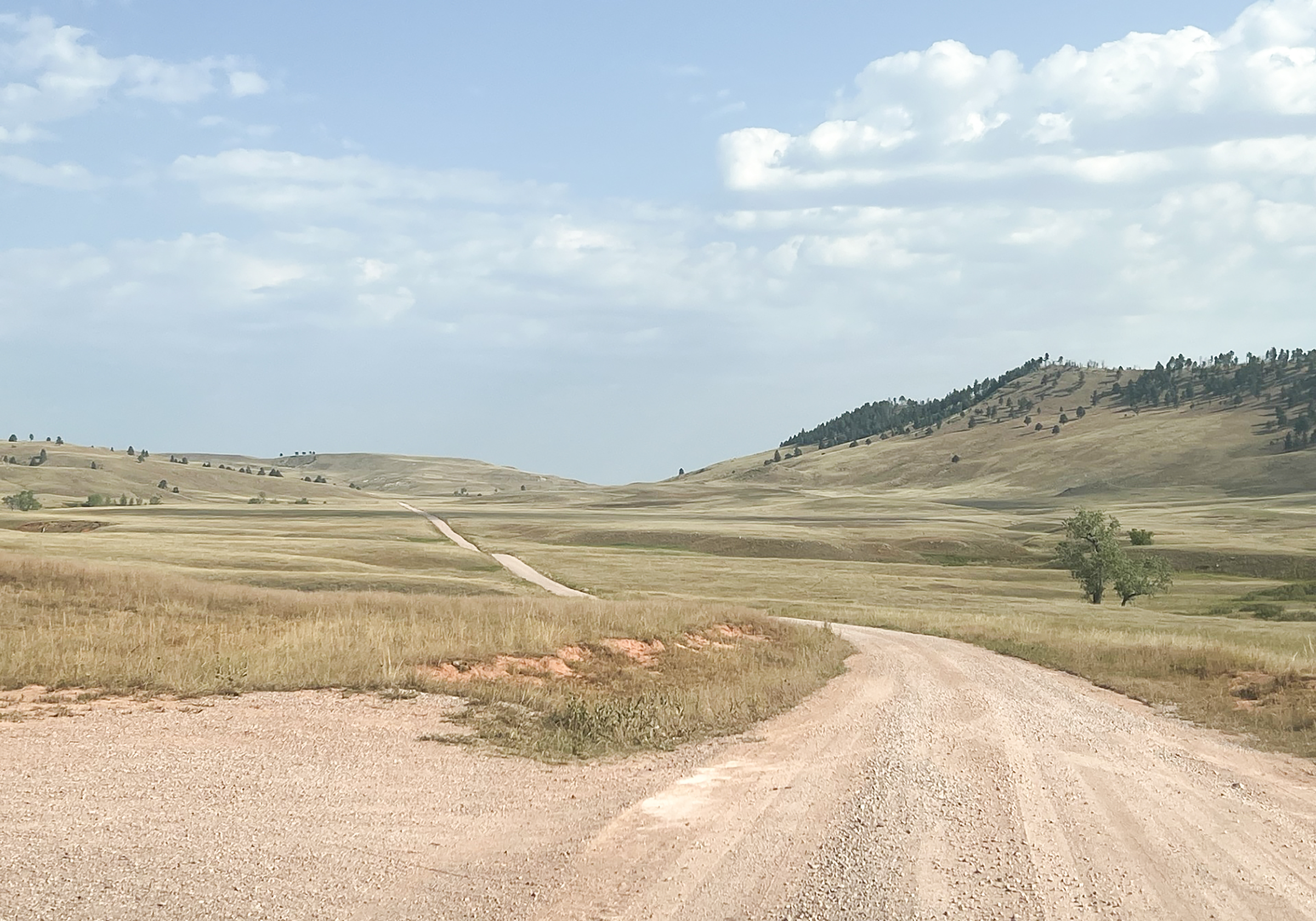 On the right is a gravel road leading away from the camera toward the distant horizon. The road passes through a green prairie with a forested ridge to the right.