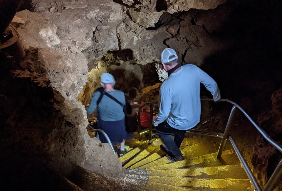 Visitors walking down steep concrete stairs in Wind Cave.