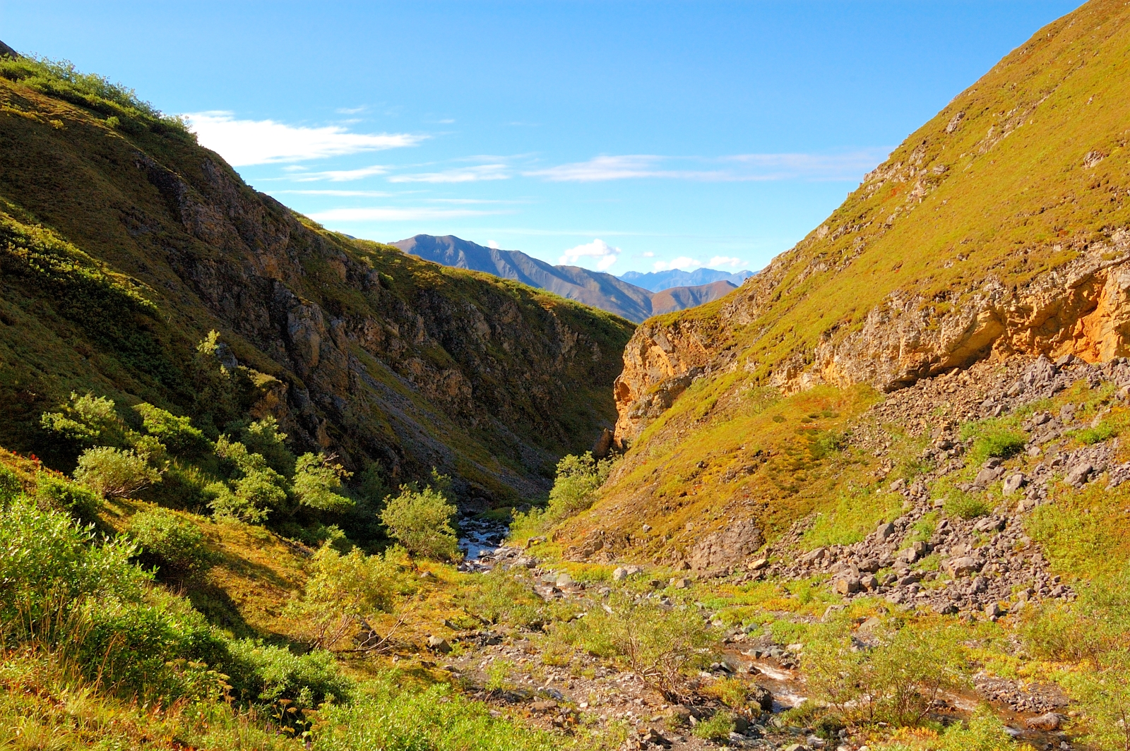 Dixie Pass Trail