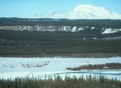 Plant Communities of Wrangell-St. Elias - Wrangell - St Elias National Park  & Preserve (U.S. National Park Service)