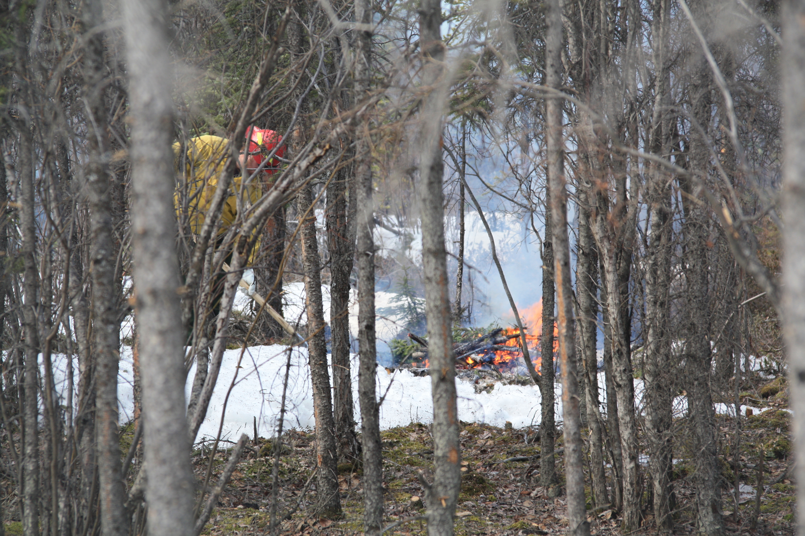 WRST Pile Burn Photo 1