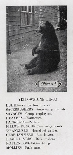 Back cover of booklet showing Yellowstone Lingo, circa 1929.