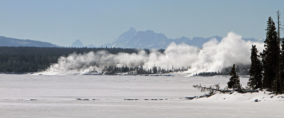 Winter Ecology Yellowstone National Park U S National