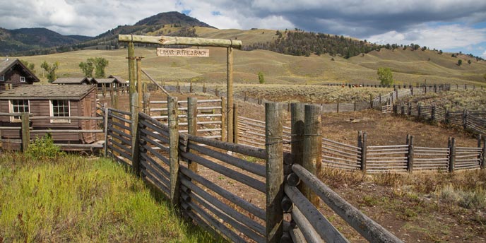 Tower-Roosevelt Area - Yellowstone National Park (U.S. National Park