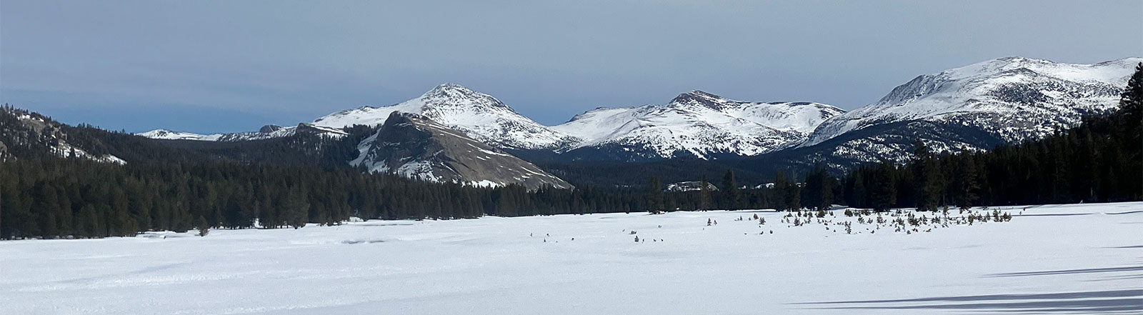 Lembert Dome, Mt. Dana, and Mt. Gibbs on January 25, 2026.