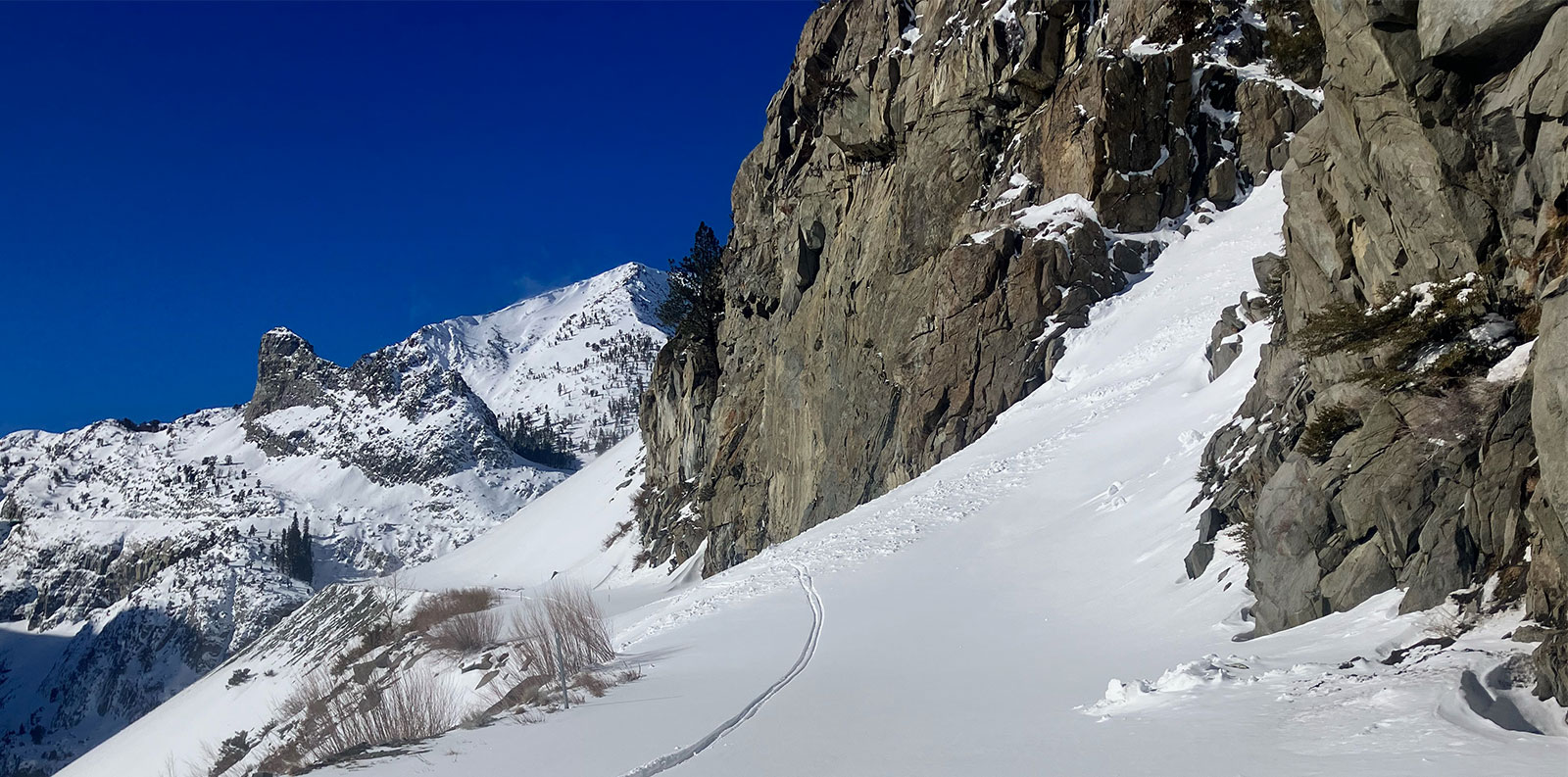 Old Avalanche debris at approximately 8,000 feet along Tioga Pass Road on January 8, 2026.