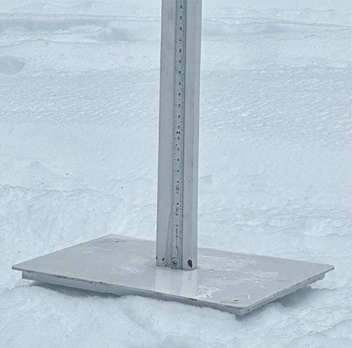 Rain on snow stake on February 24, 2026.