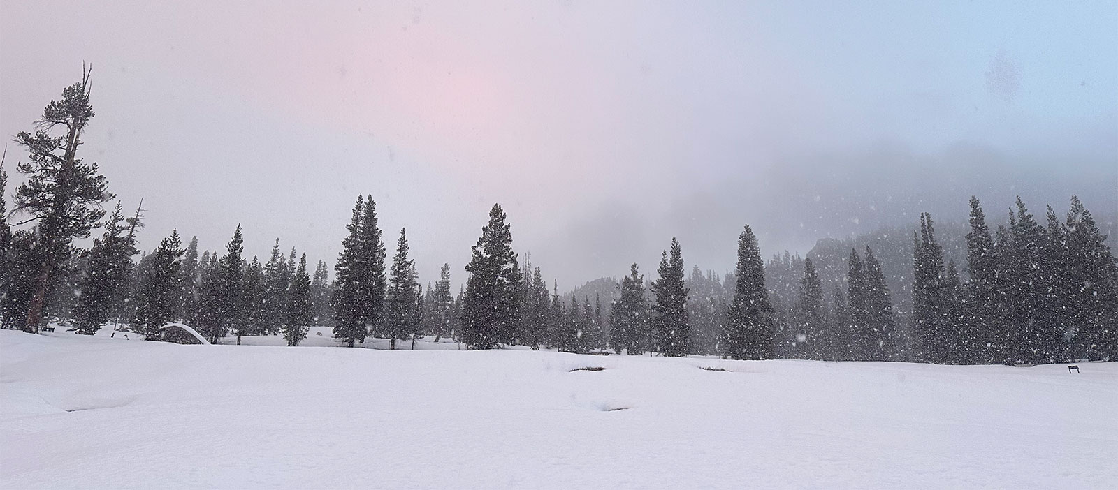Sunset snowflakes over Tuolumne Meadows on February 6, 2026.