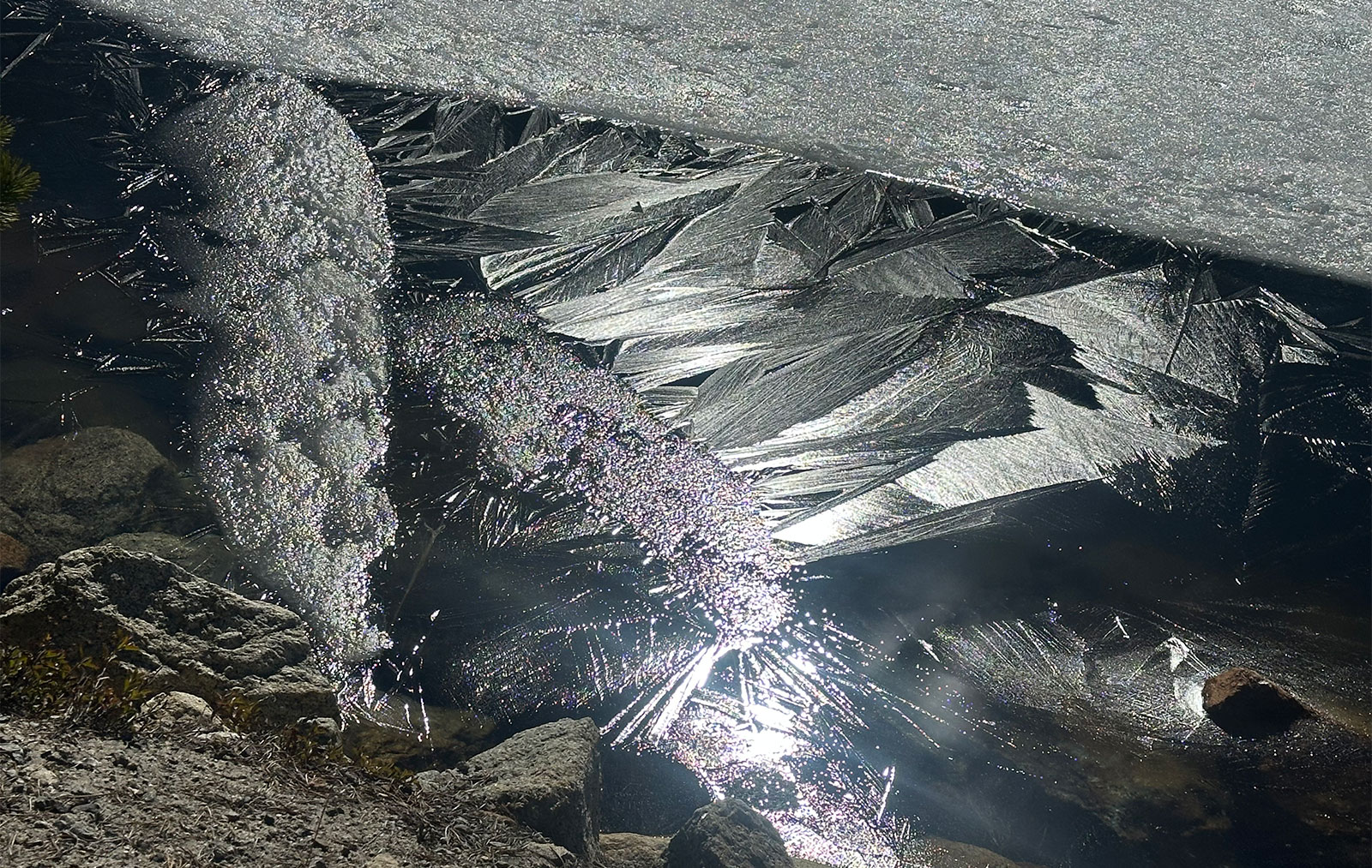 Thin ice on Tenaya Lake shore on March 24, 2026.