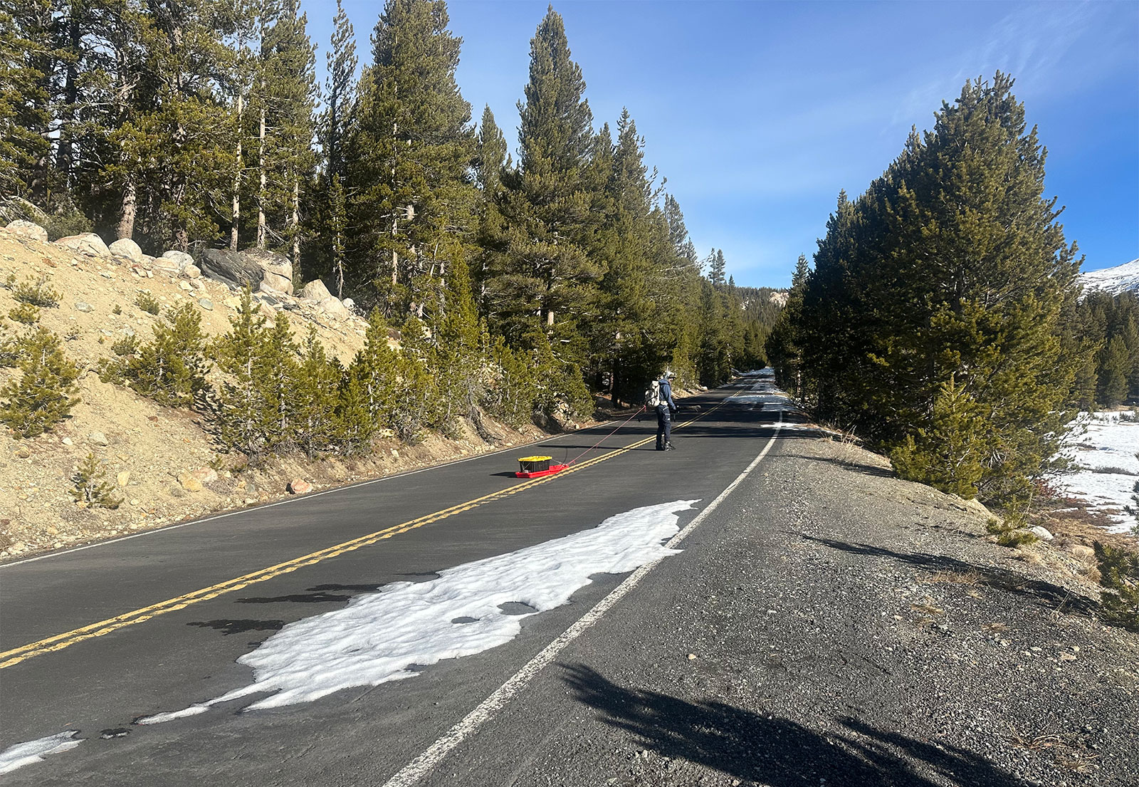 Winter rangers hauling gear along the Tioga Road on December 19, 2025.