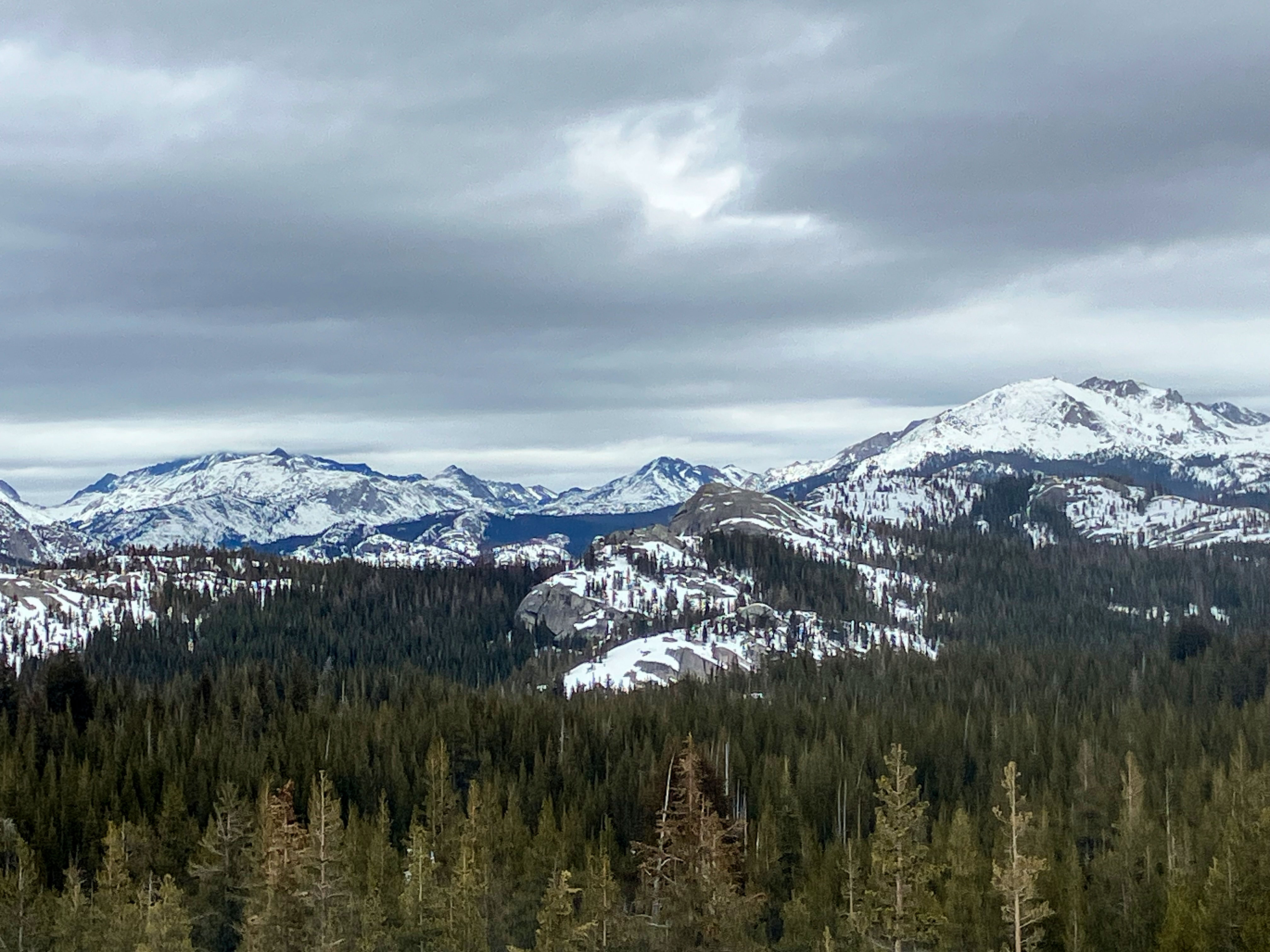 Domes and peaks surrounding Tuolumne Meadows rise in the distance from the surrounding forest