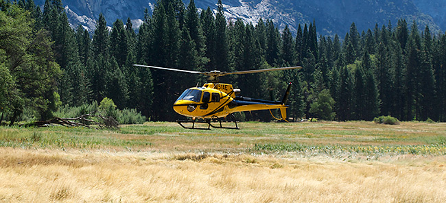 Helicopter landing in Ahwahnee Meadow