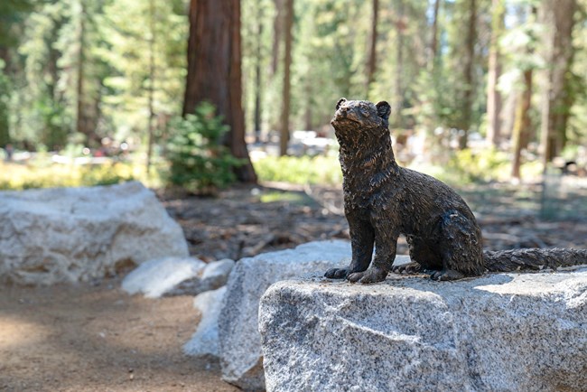 Una estatua de bronce de un animal parecido a un hurón con un cuerpo largo y esbelto, una nariz pequeña y puntiaguda y una cola larga, está encaramada sobre una roca de granito.