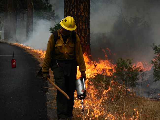 Una persona vestida con un casco y ropa amarilla de protección contra incendios sostiene un hacha y un encendedor mientras camina en el perímetro de una línea de fuego.