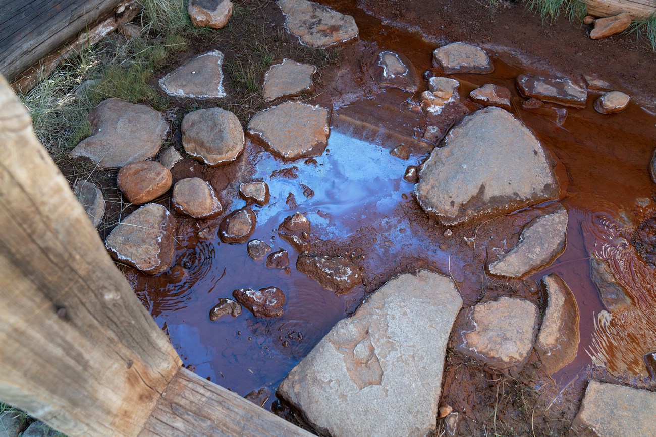 El agua gasificada del Soda Spring sale del suelo