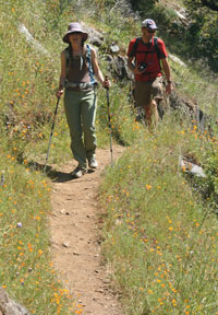 Environmental Issues - Yosemite National Park U.S 