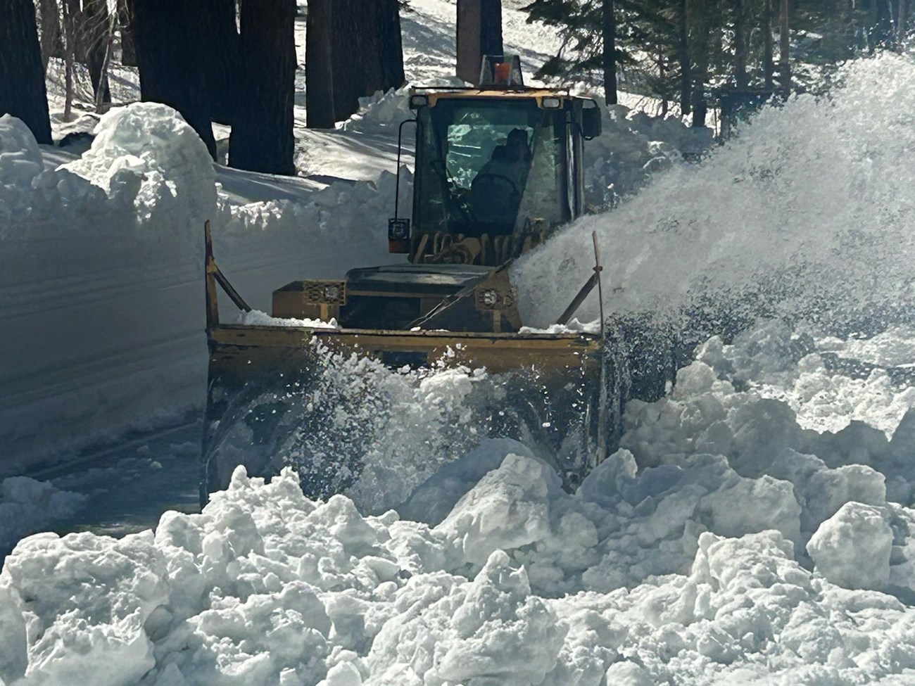 A snow blower driving on Tioga Road, blowing snow that is several feet deep off the road