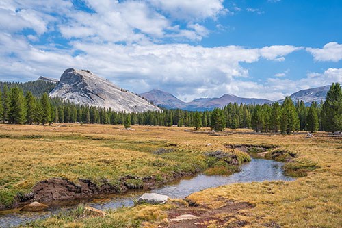 Lembert Dome with Tuolumne River in foreground