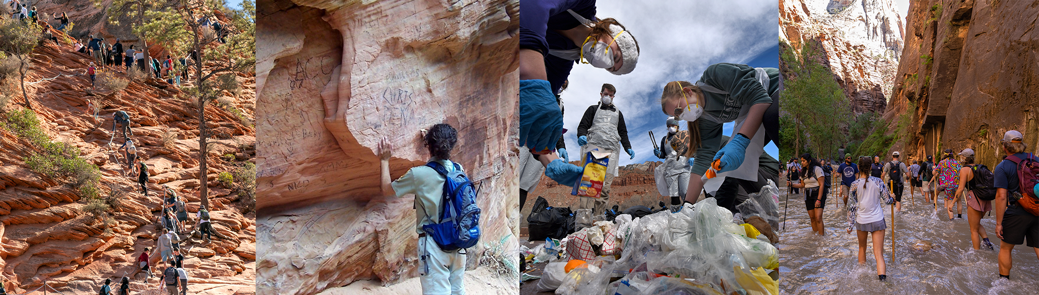 4 photos, left to right: a long line of people up an orange sandstone cliff, a person cleaning graffiti off of beige canyon walls, people with gloves, masks, and aprons sorting trash, a large group of people hiking in a river between canyon walls