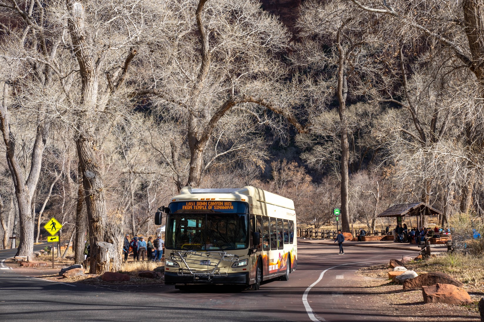 Zion National Park electric shuttle bus departs the Grotto. Trees without leaves surround the bus and a line of visitors waiting to board other buses wait at the stop.