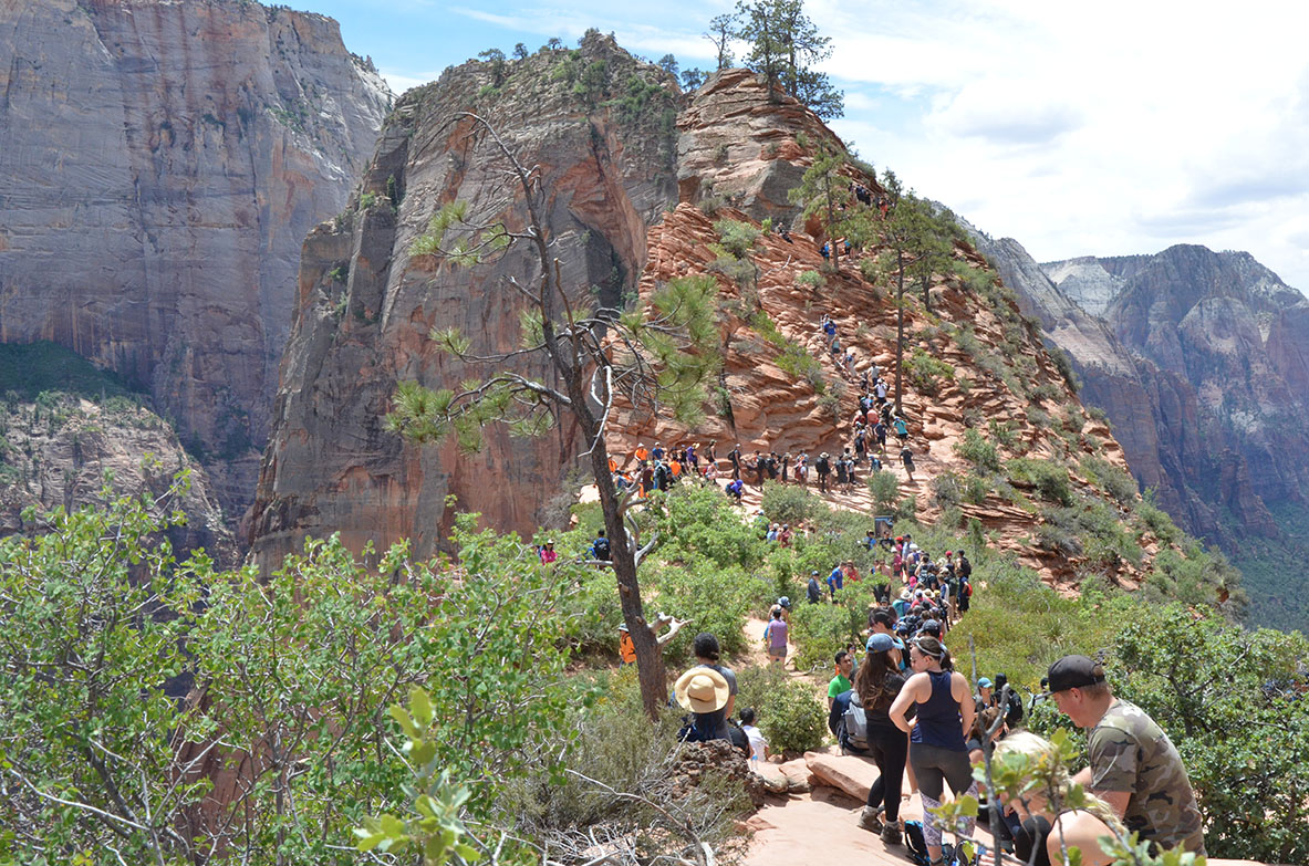 Tips for Dealing with Crowds Zion National Park (U.S. National Park