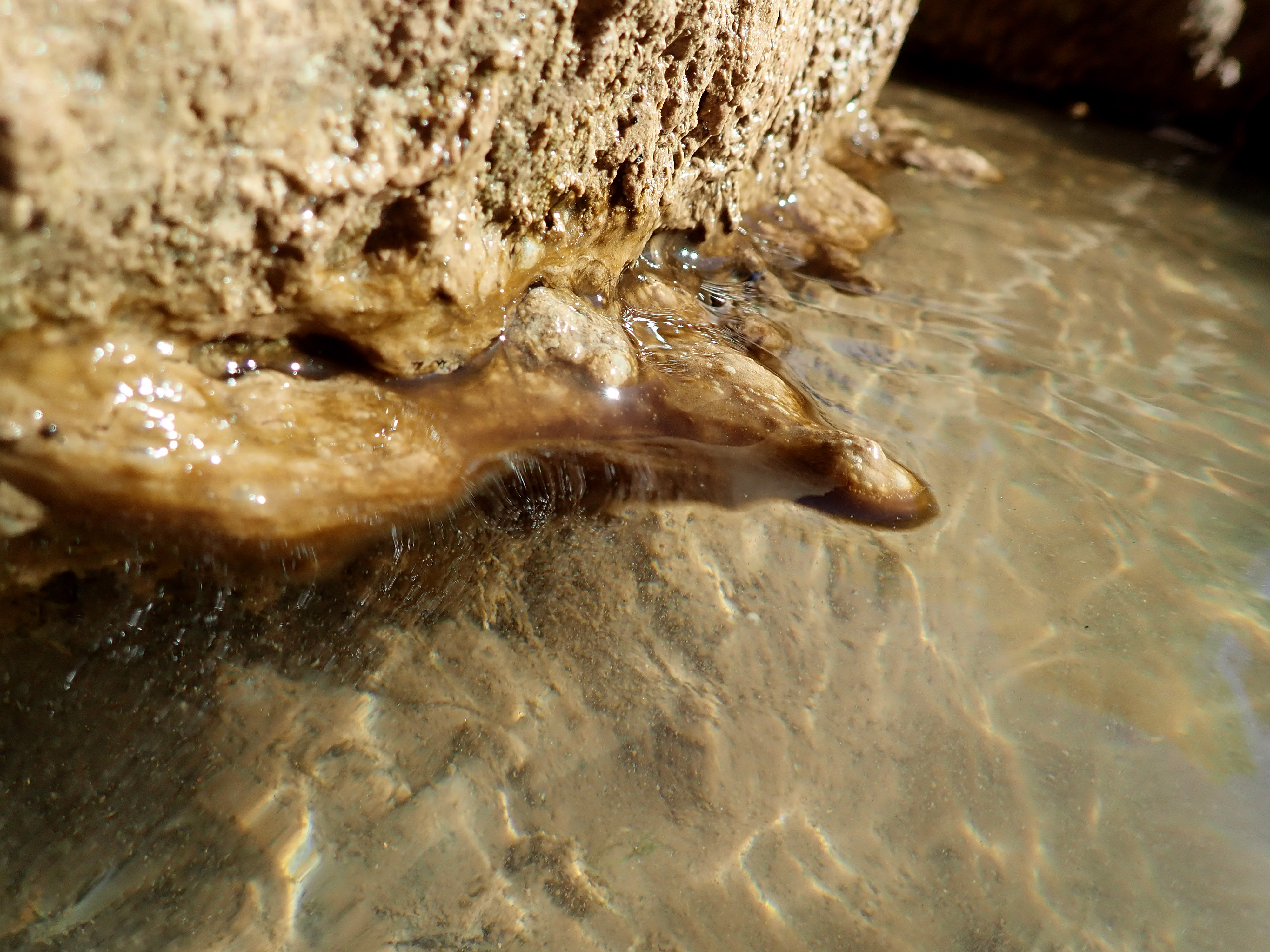 Get Virgin River Zion Park Gif