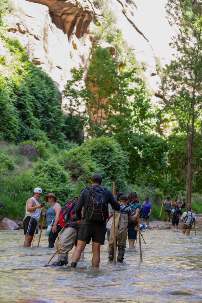 Hikers in the Narrows