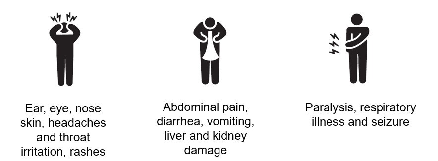 Symptoms of cyanobacteria: irritation in the ears, eyes, nose, skin, or throat. headache, burning, tingling, numbness, pain, seizures, vomiting, diarrhea.