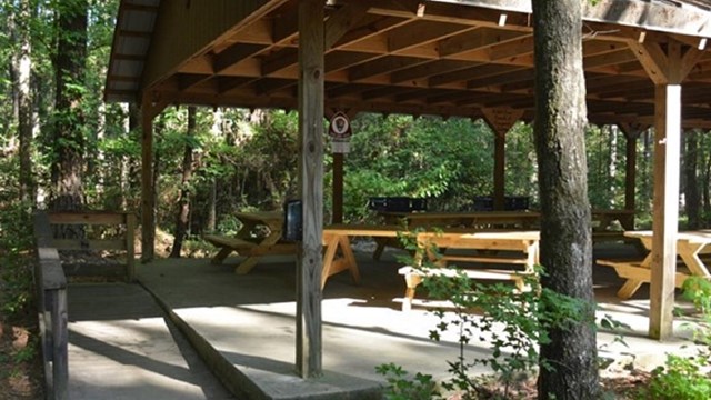 Image of accessible picnic shelter at Congaree National Park