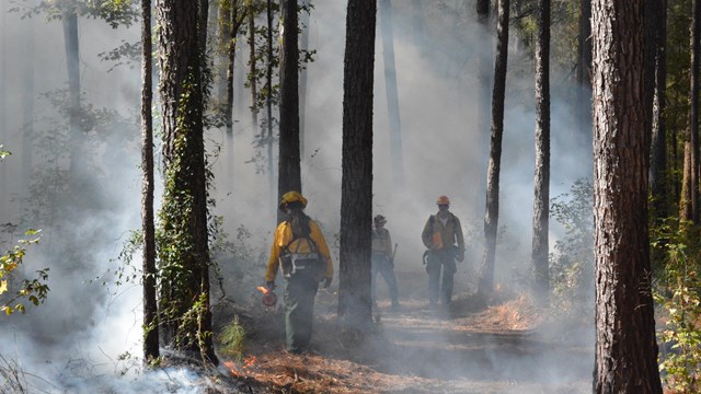 Image of firefighters walking through smoky forest