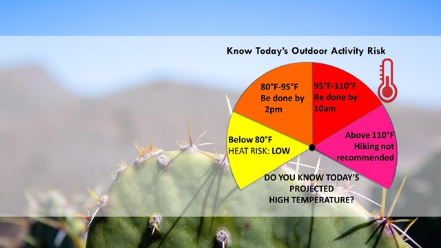 A heat index chart and a prickly pear cactus