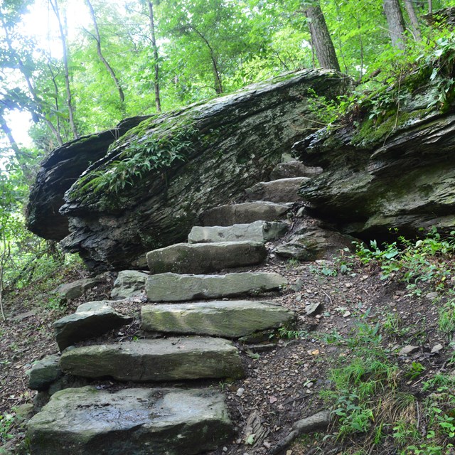A set of stone steps climbs up between two large boulders on the Lower Town Trail.