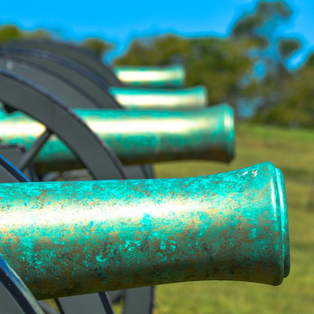 A row of antique canons that look rusted and bright green at Schoolhouse Ridge North.
