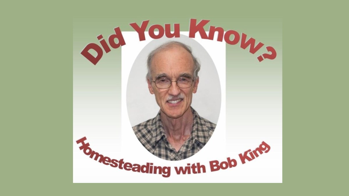 Portrait of Bob King with text overlay "did you know?"